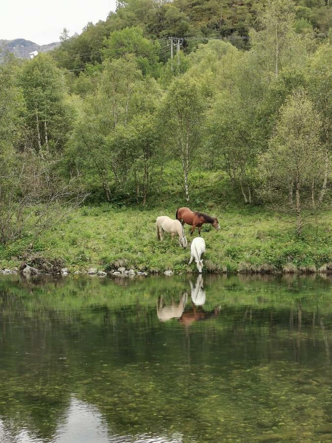 Steinklepp Camping Övre Övre Kvamme エクステリア 写真